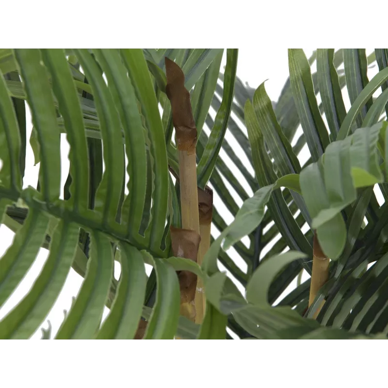 EUROPALMS Kentia-tekopalmu 140 cm 82511361