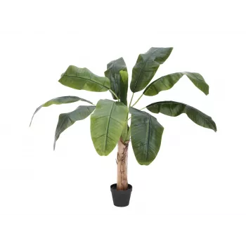 EUROPALMS tekobanaanikasvi, 100 cm, vihreät lehdet, musta ruukku 82509503