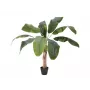 EUROPALMS tekobanaanikasvi, 100 cm, vihreät lehdet, musta ruukku 82509503