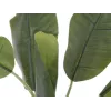 EUROPALMS tekobanaanikasvi, 100 cm, vihreät lehdet, musta ruukku 82509503
