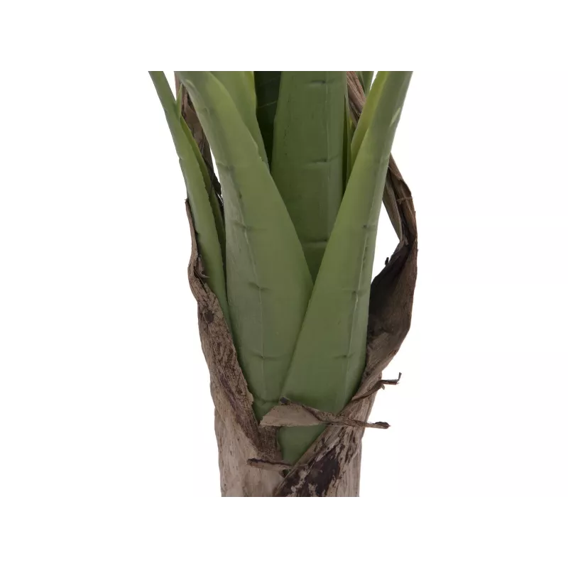 EUROPALMS tekobanaanikasvi, 100 cm, vihreät lehdet, musta ruukku 82509503