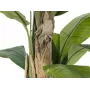 EUROPALMS tekobanaanipuu, 170 cm, vihreät lehdet, musta ruukku 82509539