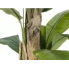 EUROPALMS tekobanaanipuu, 170 cm, vihreät lehdet, musta ruukku 82509539