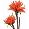 EUROPALMS Dahlia (EVA), tekokasvi, oranssi, 100 cm (82532006)