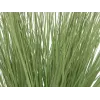 EUROPALMS tekokoristegrassi, 65 cm, vihreä, musta ruukku 82600145
