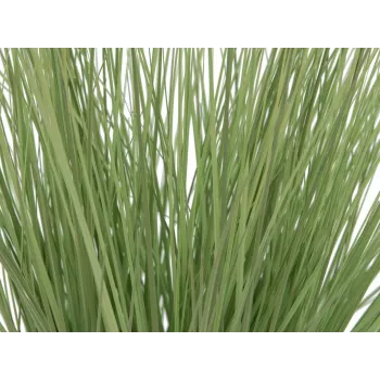 EUROPALMS tekokoristegrassi, 65 cm, vihreä, musta ruukku 82600145