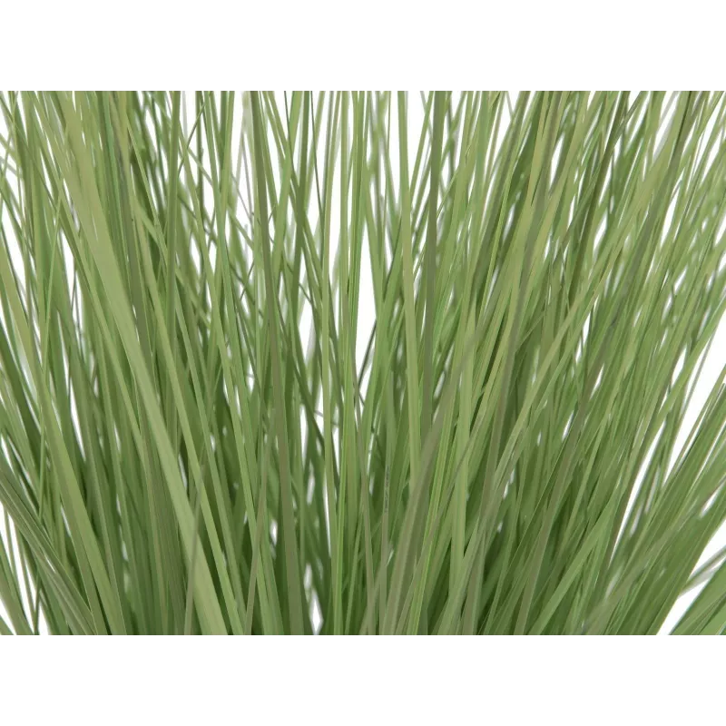 EUROPALMS tekokoristegrassi, 65 cm, vihreä, musta ruukku 82600145