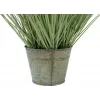 EUROPALMS tekokoristegrassi, 65 cm, vihreä, musta ruukku 82600145