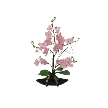 EUROPALMS orkidea-asetelma (EVA), teko, violetti (82530339)