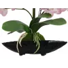 EUROPALMS orkidea-asetelma (EVA), teko, violetti (82530339)