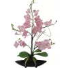 EUROPALMS orkidea-asetelma (EVA), teko, violetti (82530339)