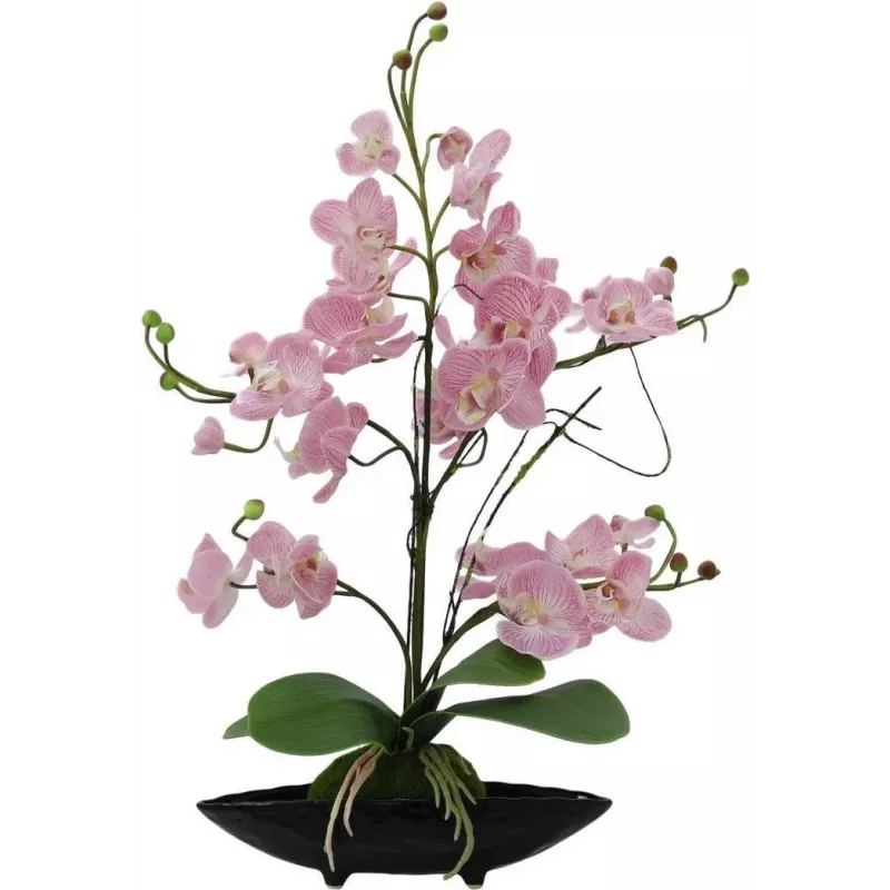 EUROPALMS orkidea-asetelma (EVA), teko, violetti (82530339)
