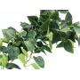 EUROPALMS Pothos-pensas näkösuoja Classic, teko, 100 cm 82502203