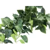 EUROPALMS Pothos-pensas näkösuoja Classic, teko, 100 cm 82502203