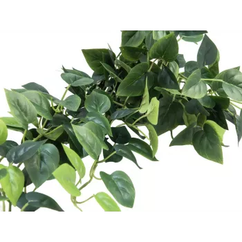 EUROPALMS Pothos-pensas näkösuoja Classic, teko, 100 cm 82502203