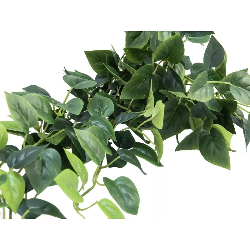 EUROPALMS Pothos-pensas näkösuoja Classic, teko, 100 cm 82502203