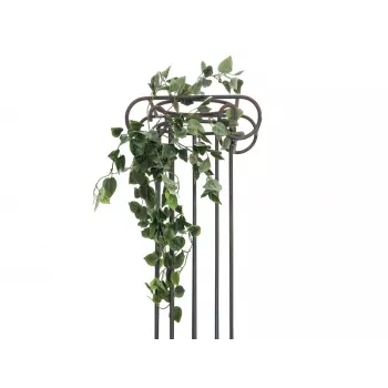 EUROPALMS Philodendron-pensas Classic, teko, 60 cm 82502204