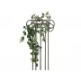 EUROPALMS Philodendron-pensas Classic, teko, 60 cm 82502204