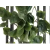 EUROPALMS Philodendron-pensas Classic, teko, 60 cm 82502204