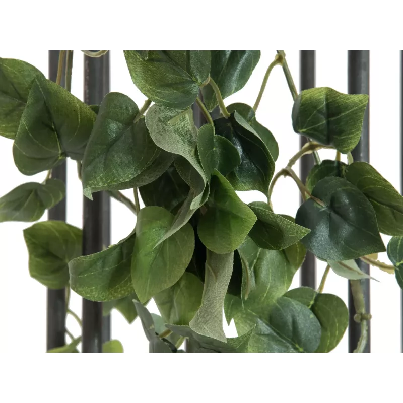 EUROPALMS Philodendron-pensas Classic, teko, 60 cm 82502204