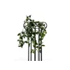 EUROPALMS Philodendron-pensas Classic, teko, 60 cm 82502204