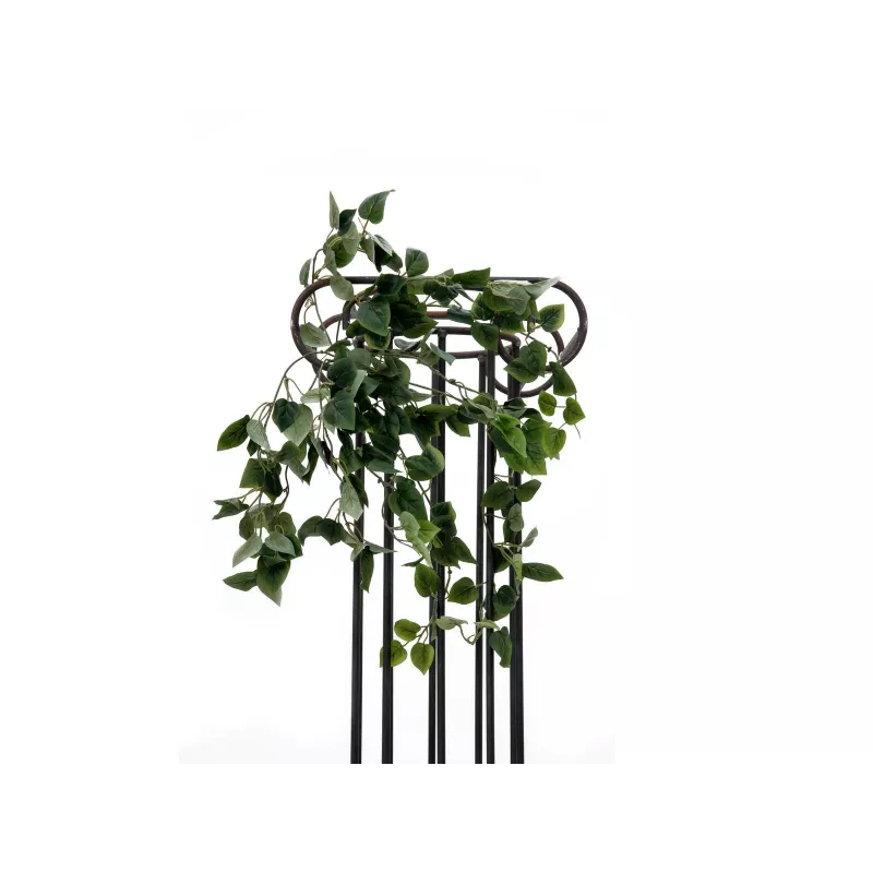 EUROPALMS Philodendron-pensas Classic, teko, 60 cm 82502204
