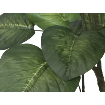 EUROPALMS Pothos tekokasvi, 150 cm, vihreät lehdet, musta ruukku 82600162