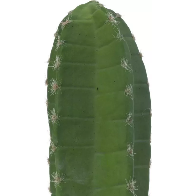 EUROPALMS meksikolainen kaktus tekokasvi, vihreä, 97 cm 82801070