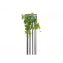 EUROPALMS premium tekoköynnöspensas, 50 cm 82502513