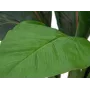 EUROPALMS tekolehtimangoldipensas, 45 cm, vihreä 82508302