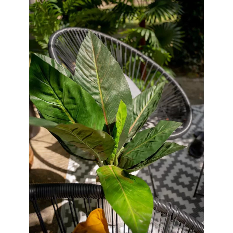 EUROPALMS tekolehtimangoldipensas, 45 cm, vihreä 82508302