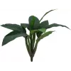 EUROPALMS tekolehtimangoldipensas, 45 cm, vihreä 82508302