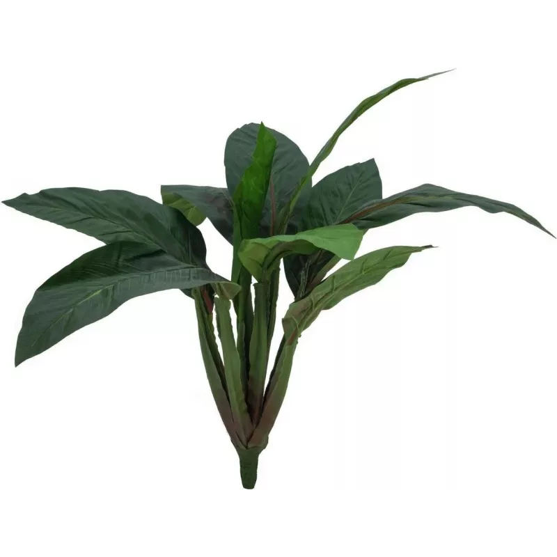 EUROPALMS tekolehtimangoldipensas, 45 cm, vihreä 82508302