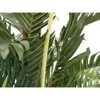 EUROPALMS Kentia-palmu tekokasvi 180 cm 82511367