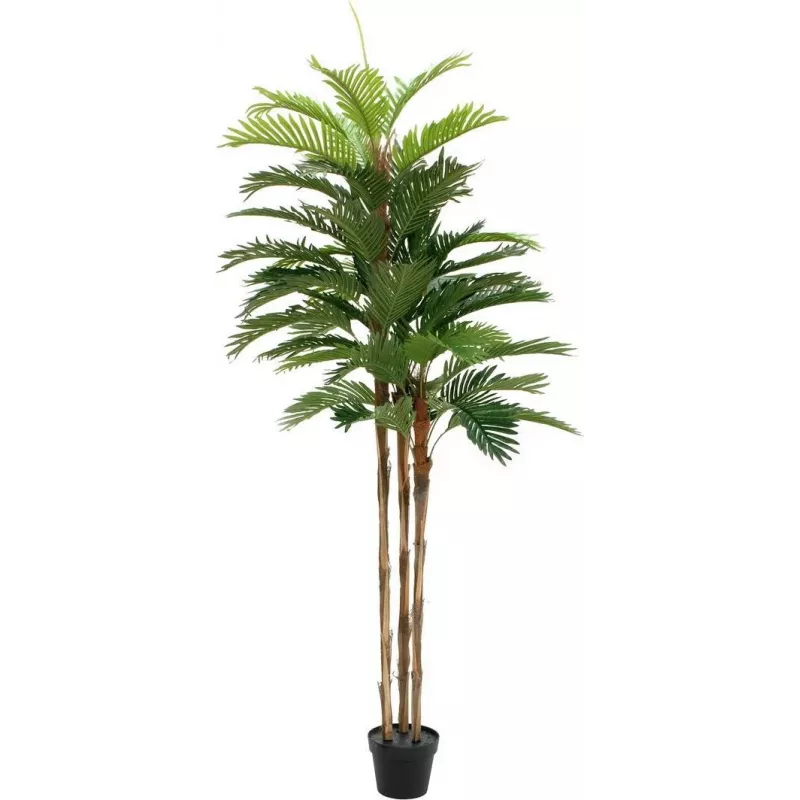 EUROPALMS Kentia-palmu tekokasvi 180 cm 82511367