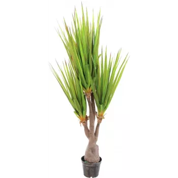 EUROPALMS Sabretooth-agave tekokasvi, 185 cm 82600030