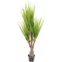 EUROPALMS Sabretooth-agave tekokasvi, 185 cm 82600030