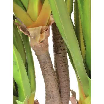 EUROPALMS Sabretooth-agave tekokasvi, 185 cm 82600030