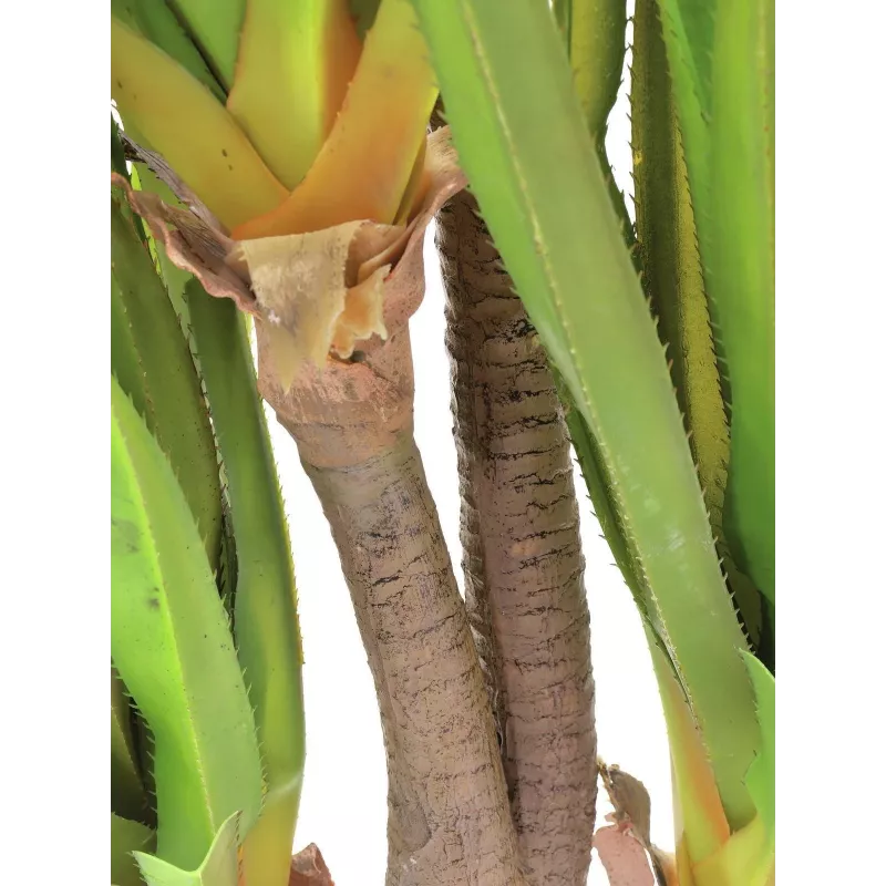 EUROPALMS Sabretooth-agave tekokasvi, 185 cm 82600030