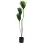 EUROPALMS papyrus tekokasvi, 100 cm 82600234