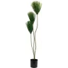 EUROPALMS papyrus tekokasvi, 100 cm 82600234