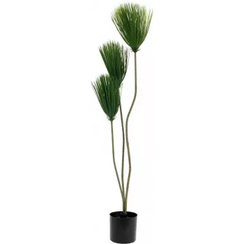 EUROPALMS papyrus tekokasvi, 100 cm 82600234