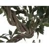 EUROPALMS Ficus Multi Spiral Trunk tekokasvi, 130 cm 82806314