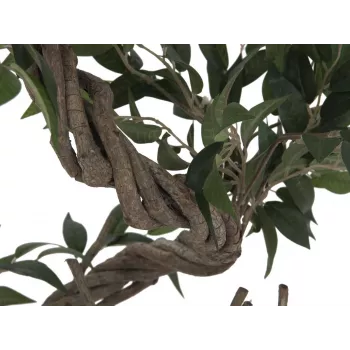 EUROPALMS Ficus Multi Spiral Trunk tekokasvi, 130 cm 82806314
