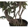 EUROPALMS Ficus Multi Spiral Trunk tekokasvi, 130 cm 82806314