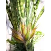 EUROPALMS mehikasvisekoitus tekokasvi, 190 cm 82600035