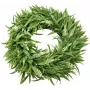 EUROPALMS laventeliseppele, 30 cm (83500504)