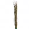 EUROPALMS tekojärviruoko, khaki, 127 cm 82505853