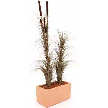 EUROPALMS tekojärviruoko tähkillä, tummanruskea, 152 cm 82505857
