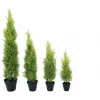 EUROPALMS Leyland-sypressi tekokasvi, 120 cm, vihreä lehvästö, musta ruukku 82606964